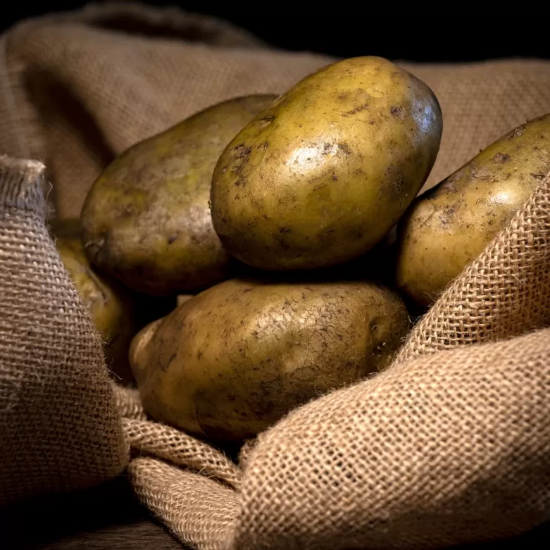 PATATA ECOLÓGICA ASTURIANA