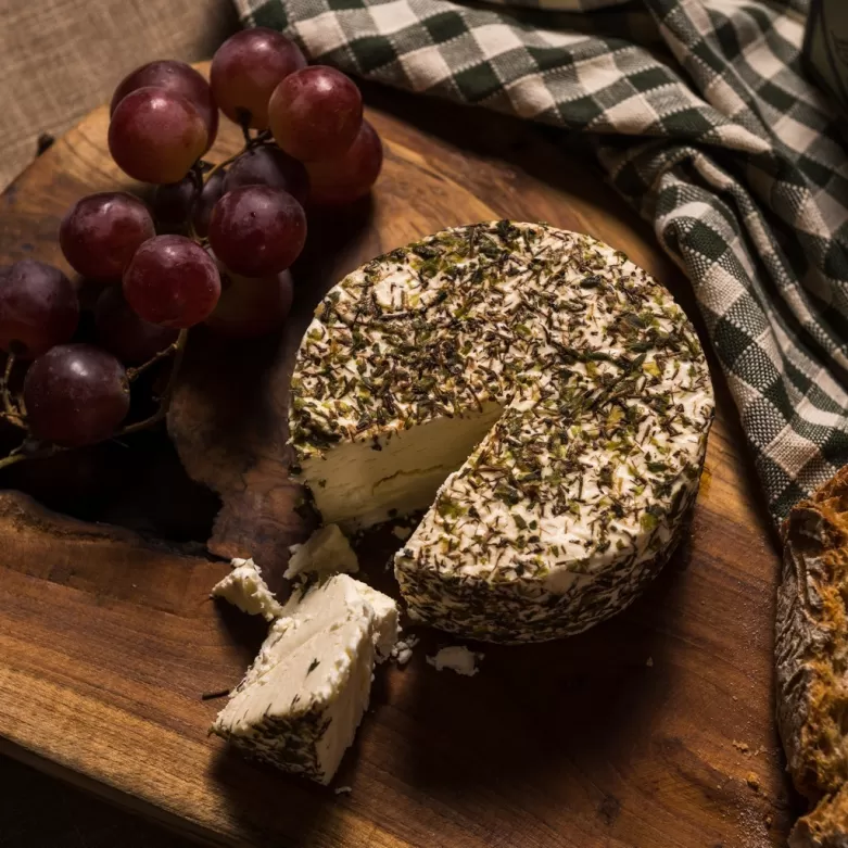 Culinary herbs cheese from spain