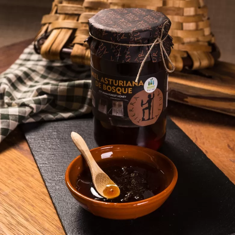 Asturias forest honey