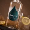 ORBAYU GIN