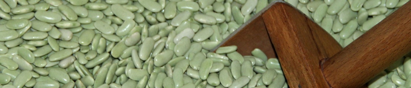 Asturian legumes: green beans, beans ...